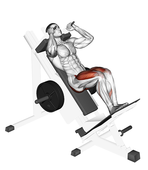 Hack Squat - Close Stance