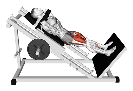 Hack Squat