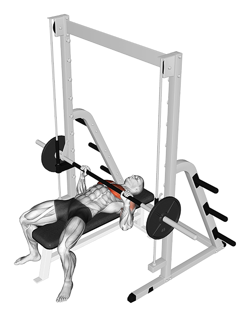 Bench Press (Smith)