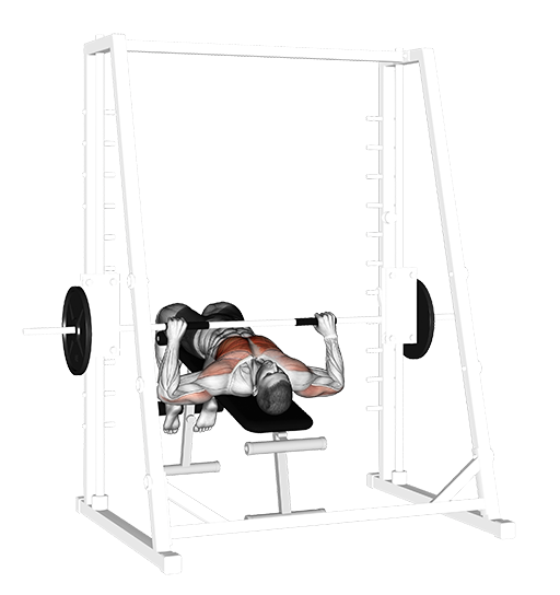 Decline Bench Press (Smith)