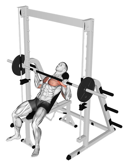 Incline Bench Press (Smith)