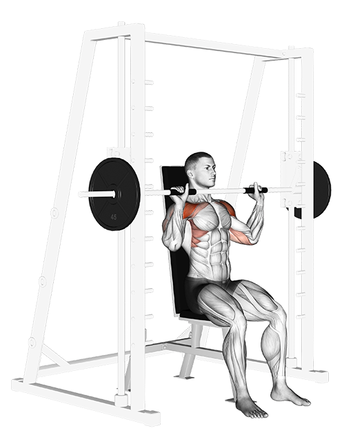 Shoulder Press - Seated (Smith)