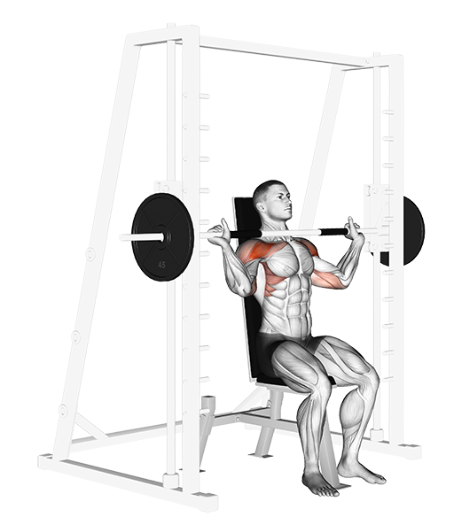 Shoulder Press (Smith)