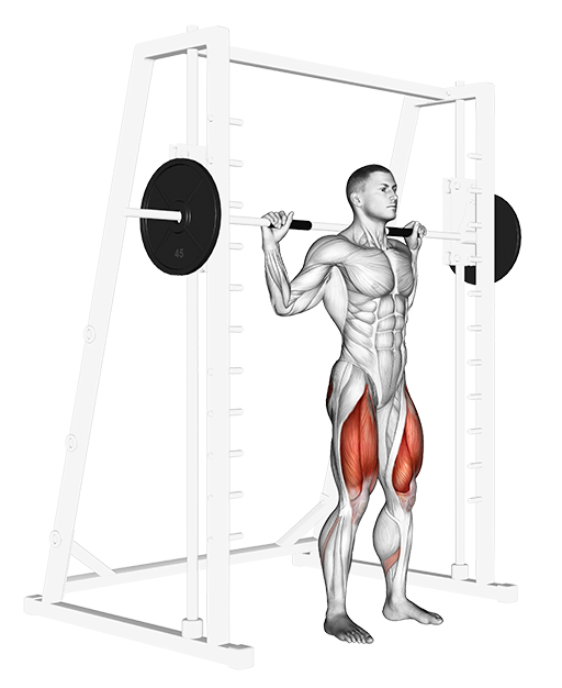 Squat (Smith)