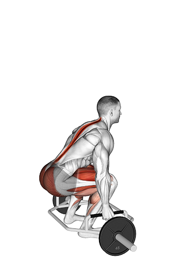 Deadlift - (Trap Bar)