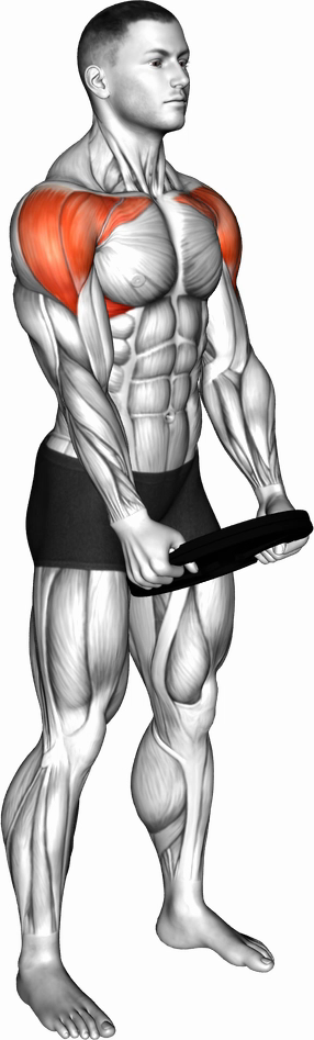Plate Front Raise