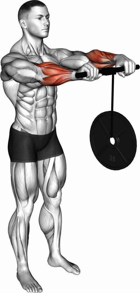 Wrist Roller