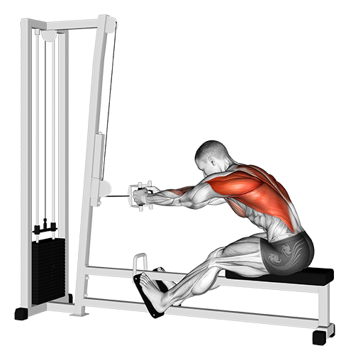 Row - Seated (Cable)