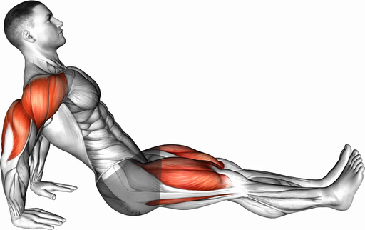 Reverse Plank