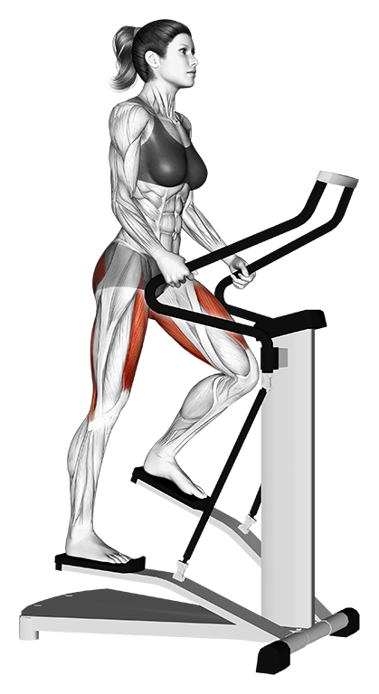 Stepper (Machine)