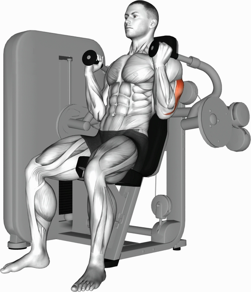 Triceps Extension (Machine)