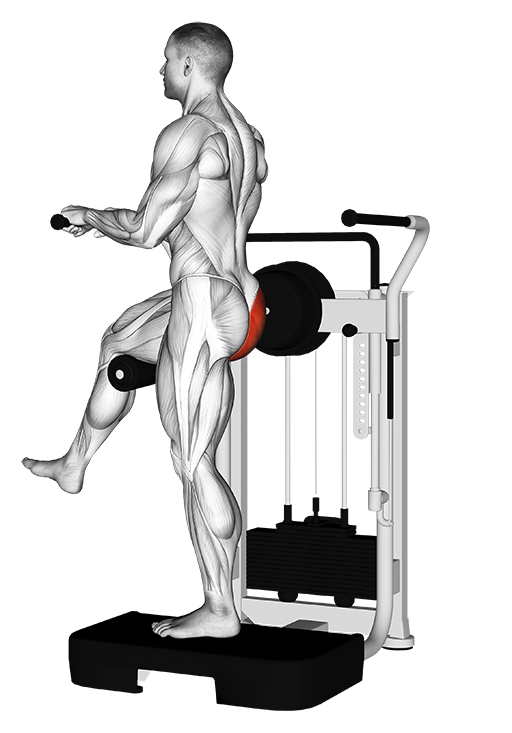 Rear Kick - Standing (Machine)