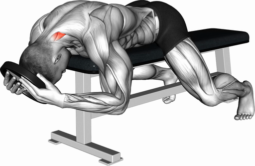 Neck Extension - Lying (Weighted)