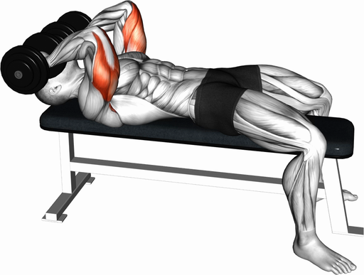 Triceps Extension Skullcrusher - Lying (Dumbbell)