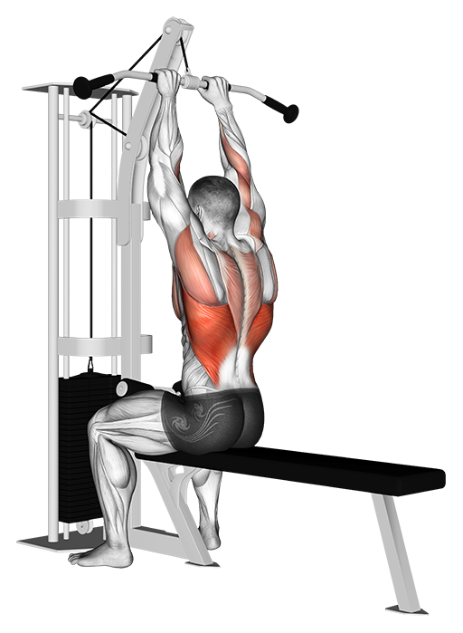 Lat Pulldown - Close Grip (Cable)