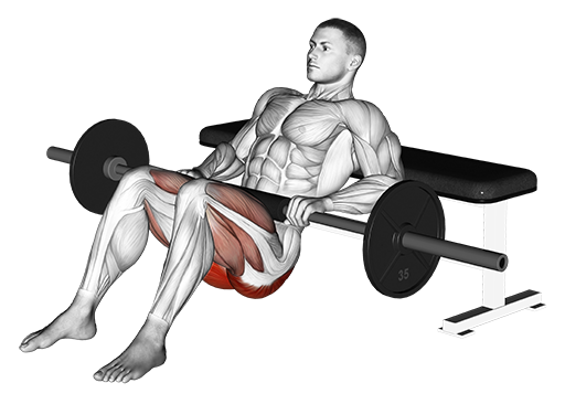 Hip Thrust (Barbell)