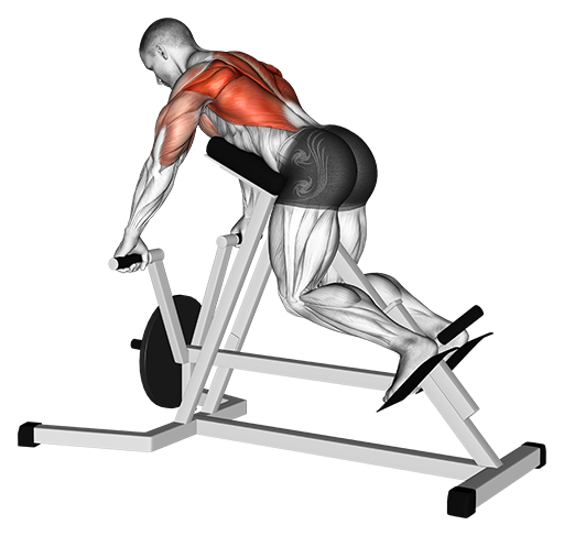 T-Bar Row - Chest Supported