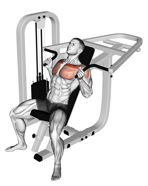 Incline Hammer Chest Press (Machine)