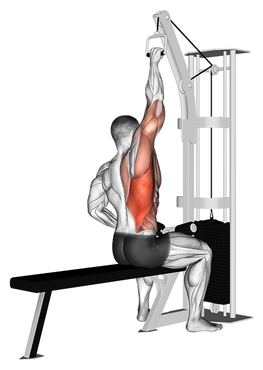Lat Pulldown - One Arm (Cable)