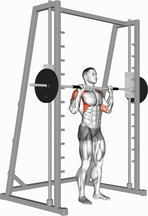 Shoulder Press - Standing (Smith)