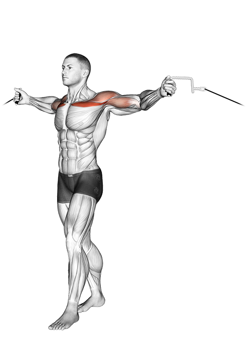 Chest Fly - Upper (Cable)
