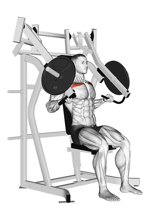 Incline Chest Press (Machine)