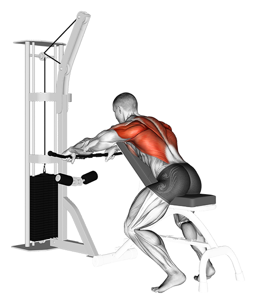Incline Bench Row (Cable)
