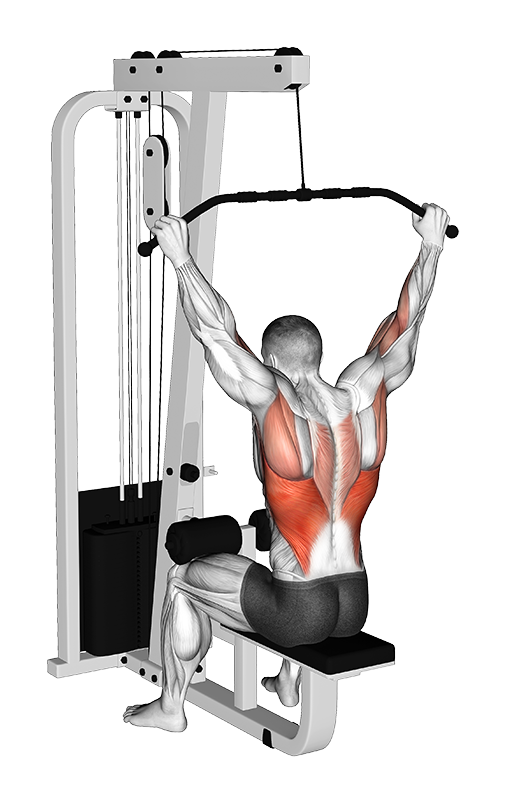 Lat Pulldown - Behind Neck, Wide Grip (Cable)