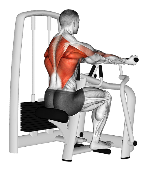 Row - Vertical, Reverse Grip (Machine)