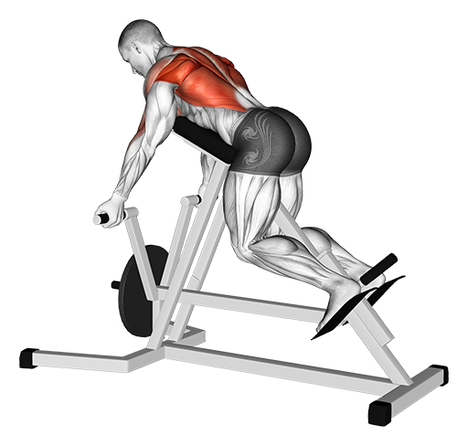 T-Bar Row - Reverse