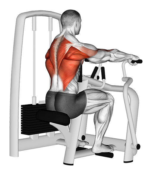 Row - Seated (Machine)