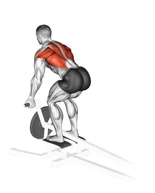 T-Bar Row - Reverse Grip (Machine)