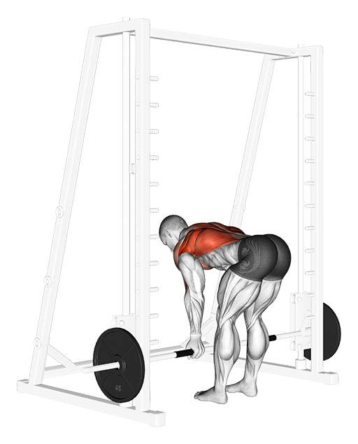 Bent Over Row - Reverse Grip (Smith)