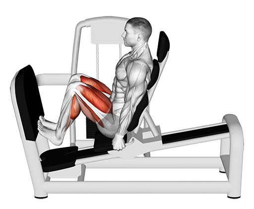 Calf Raise On Leg Press Machine (Machine)