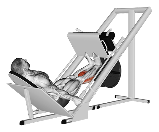 Calf Press - Sled (Leg Press Machine)