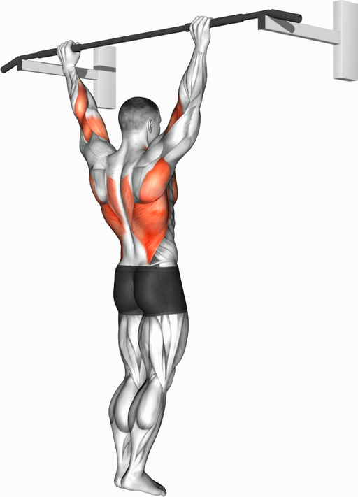 Pull Up - Wide Grip