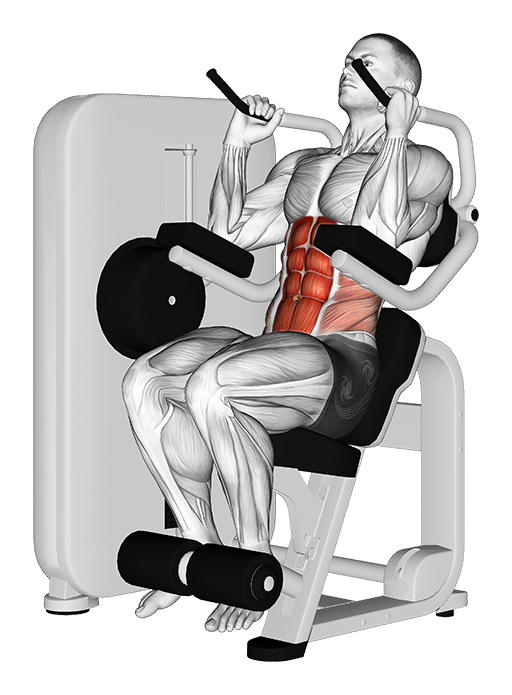 Seated Crunch (Machine)