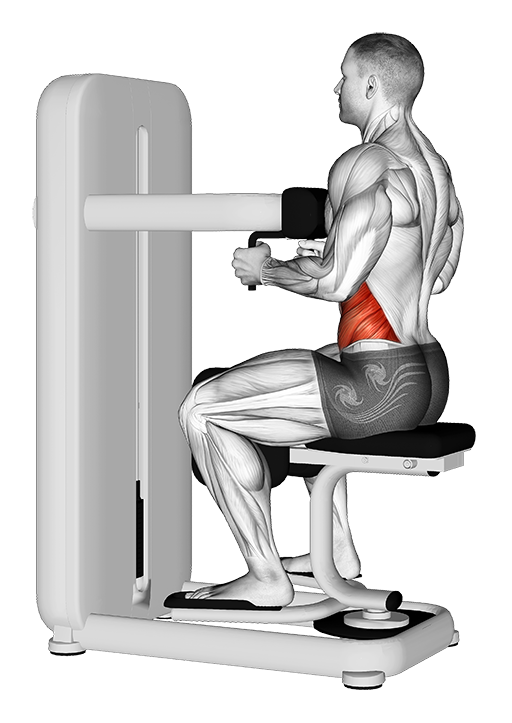 Seated Twist (Machine)