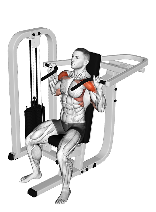 Shoulder Press - Seated (Machine)