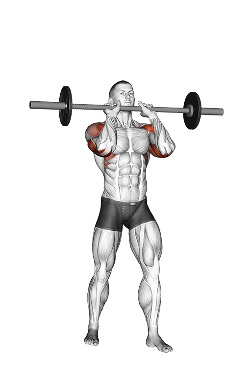 Military Press - Standing, Close Grip (Barbell)