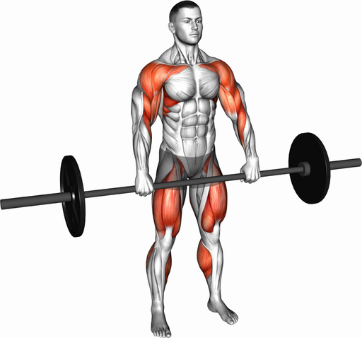 Hang Clean