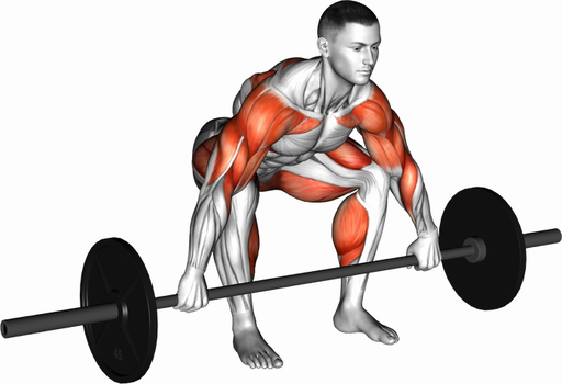 Hang Snatch