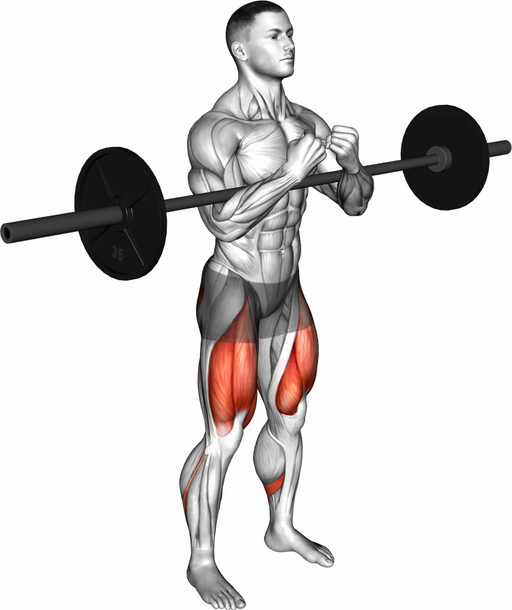 Zercher Squat (Barbell)