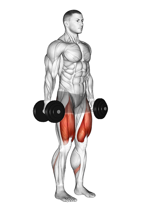 Squat (Dumbbell)