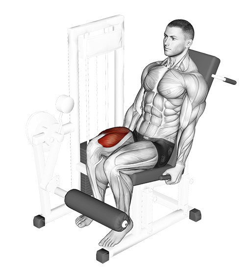 Leg Extension - Single Leg (Machine)