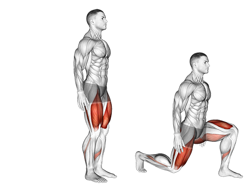 Reverse Lunge (Bodyweight)