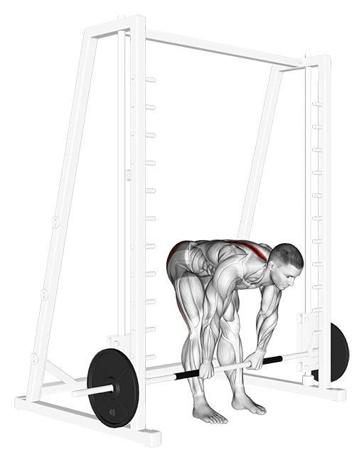 Straight Leg Deadlift (SDL) (Smith)