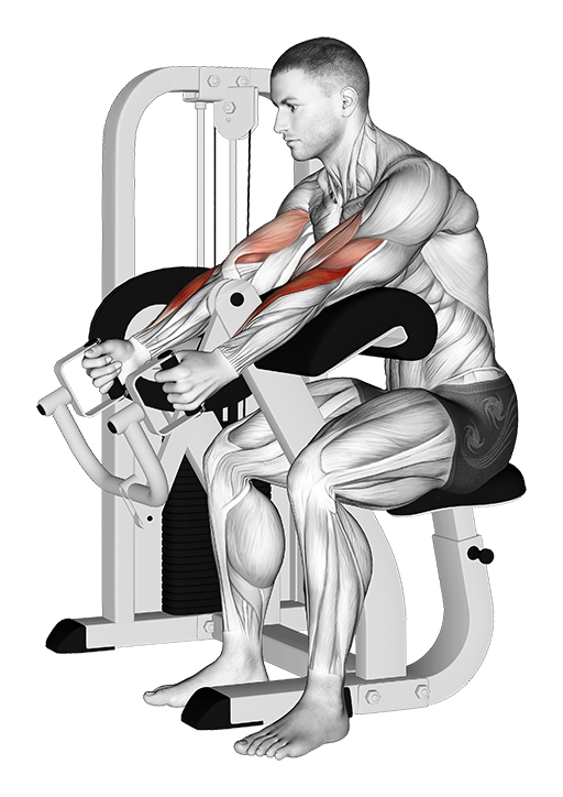 Hammer Grip Preacher Curl (Machine)