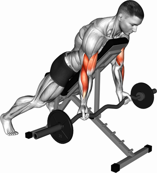 Spider Curl (Barbell)