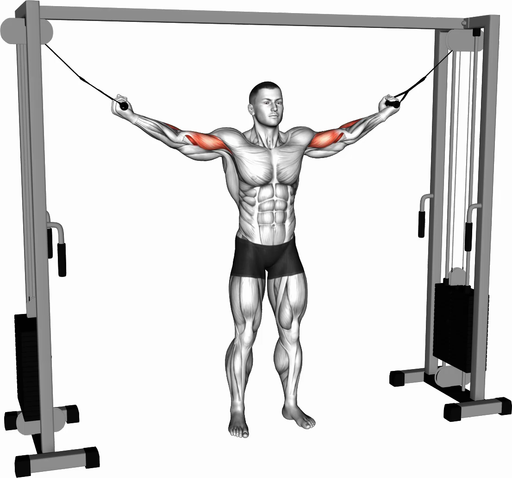 Overhead Biceps Curl (Cable)